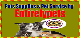 pets best